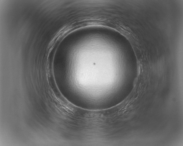 X0000052600339200507081826