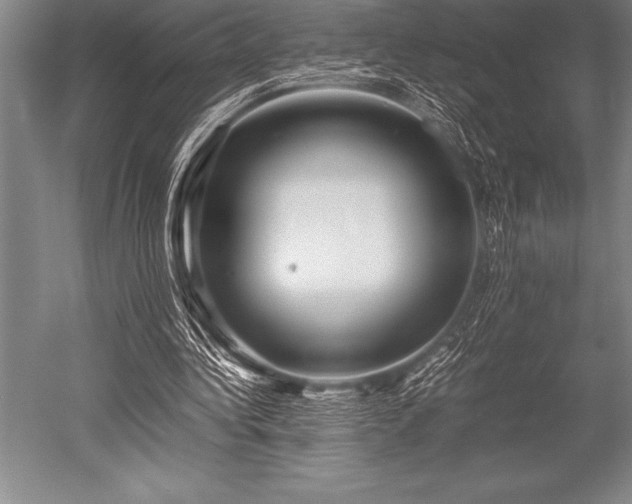X0000052600340200507081826