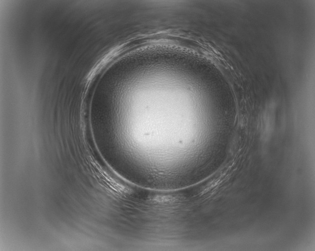 X0000052600341200507081826