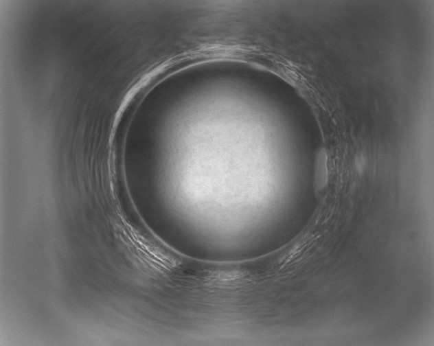 X0000052600342200507081826