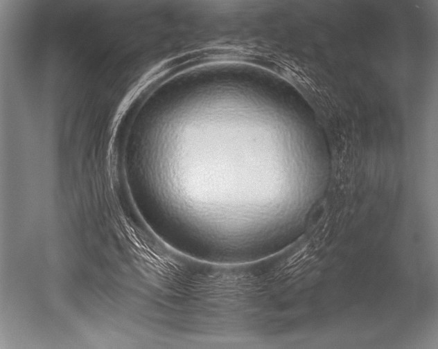 X0000052600343200507081826