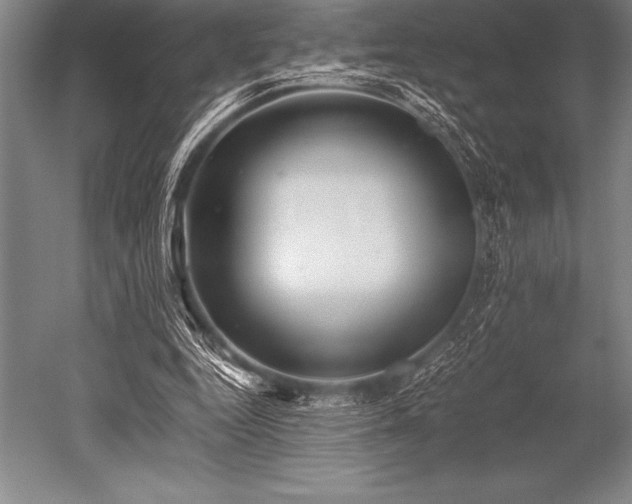 X0000052600344200507081826