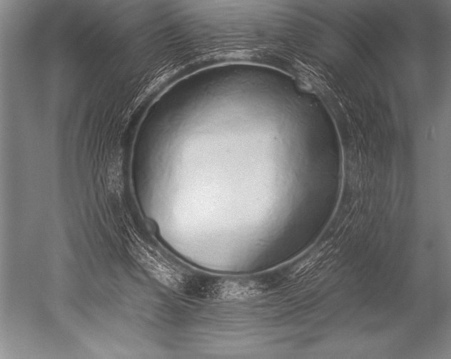 X0000052600346200507081826