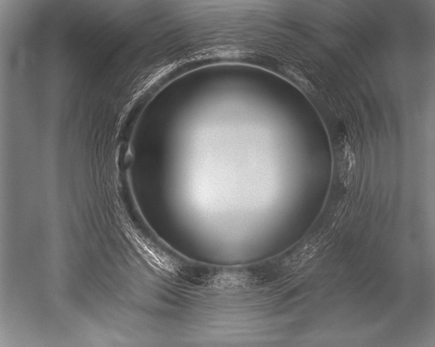 X0000052600350200507081826