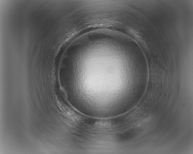 X0000052600354200507081826