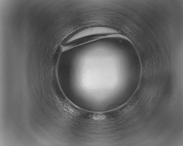 X0000052600355200507081826
