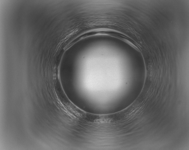 X0000052600356200507081826