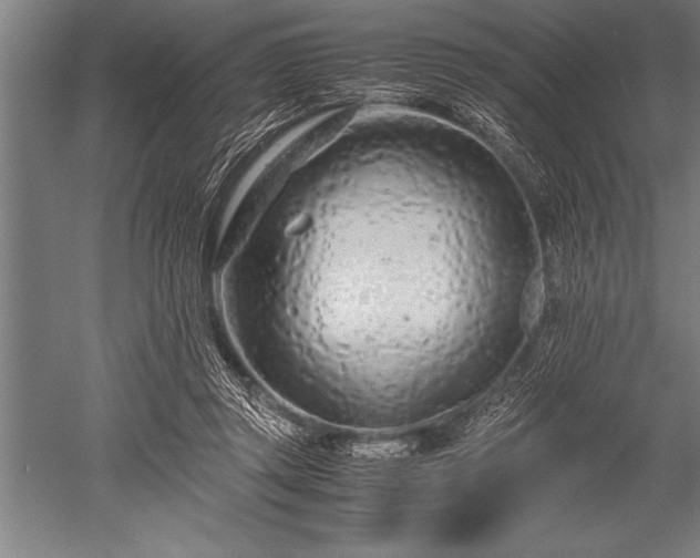 X0000052600357200507081826