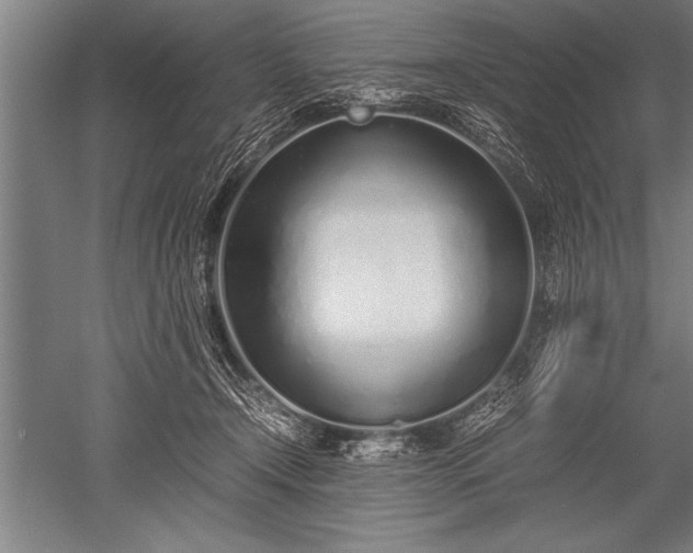 X0000052600366200507081826