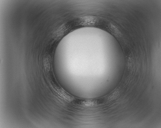X0000052600370200507081826