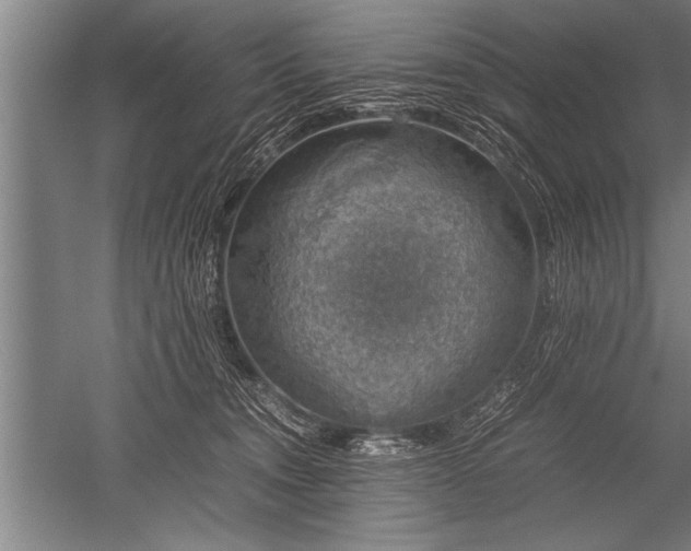 X0000052600372200507081826