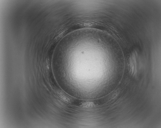X0000052600374200507081826