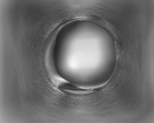 X0000052600385200507081826