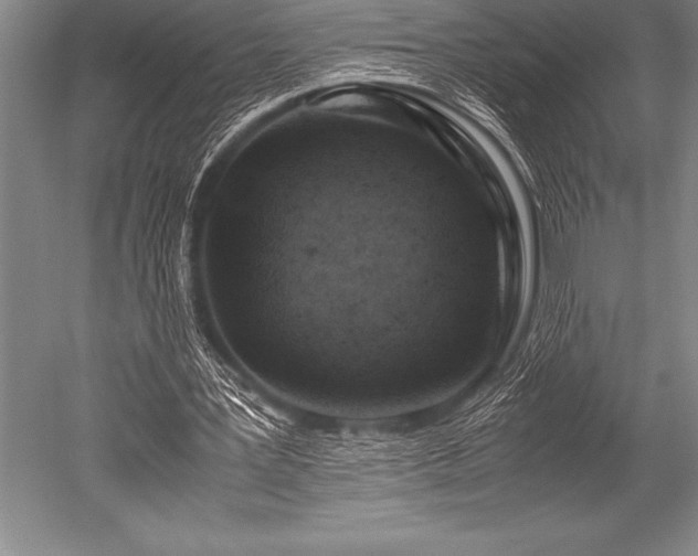 X0000052600387200507081826