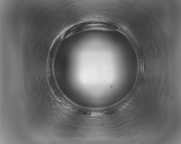 X0000052600388200507081826