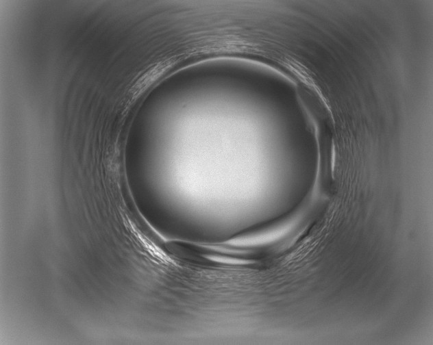 X0000052600389200507081826
