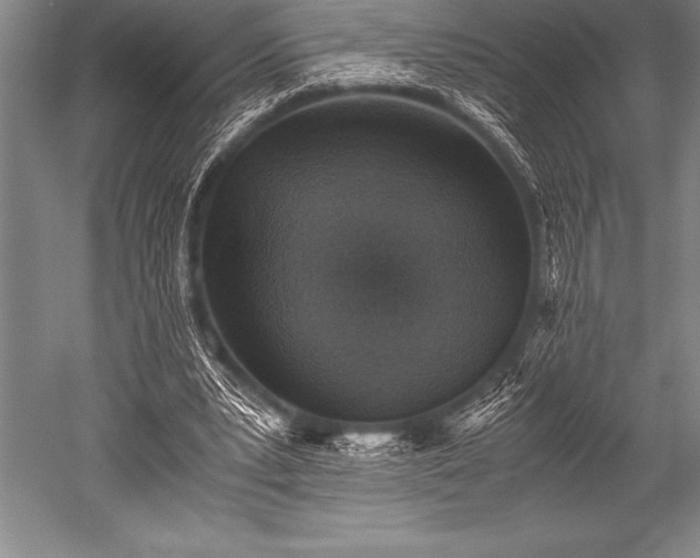 X0000052600391200507081826