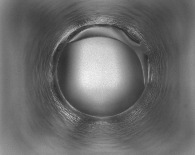 X0000052600392200507081826