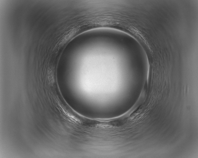 X0000052600393200507081826