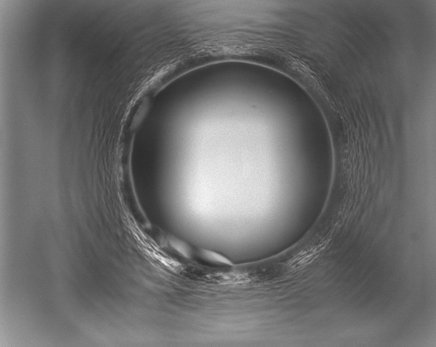 X0000052600395200507081826