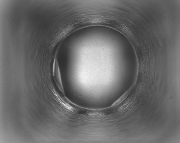 X0000052600397200507081826