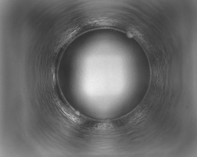 X0000052600398200507081826