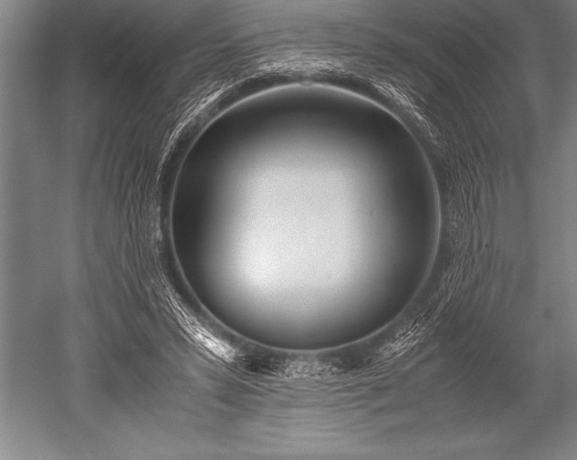 X0000052600399200507081826