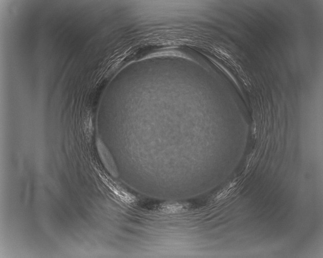 X0000052600405200507081825