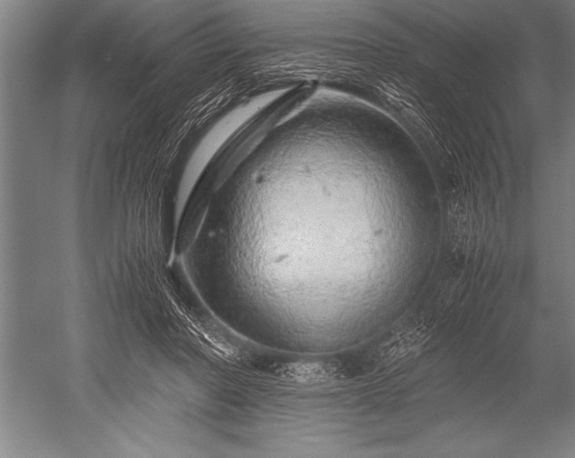 X0000052600406200507081825