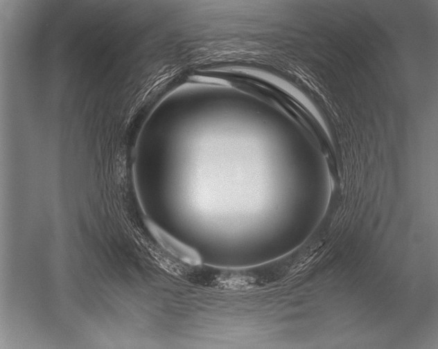 X0000052600407200507081825