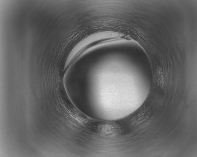 X0000052600412200507081825