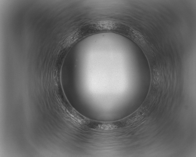 X0000052600414200507081825