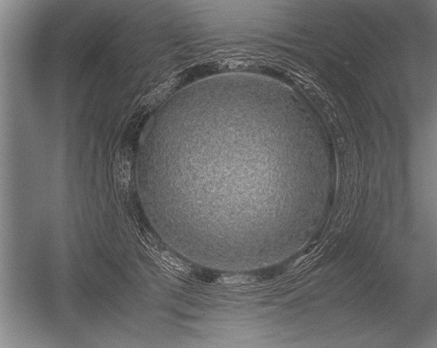 X0000052600417200507081825