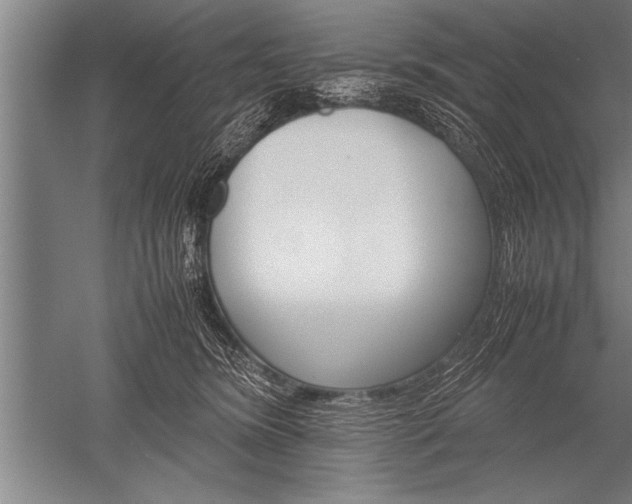 X0000052600420200507081825