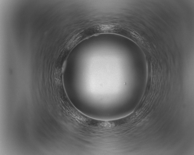 X0000052600421200507081825