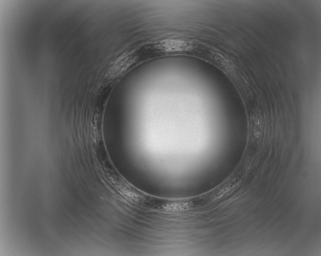 X0000052600422200507081825