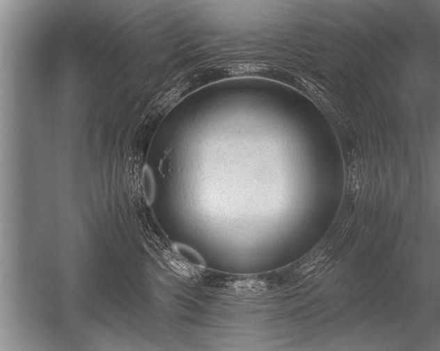 X0000052600426200507081825