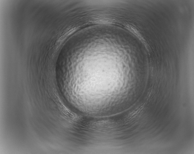 X0000052600433200507081824