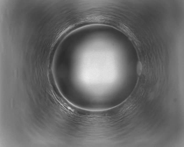 X0000052600434200507081824