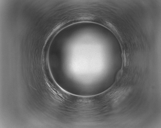 X0000052600435200507081824