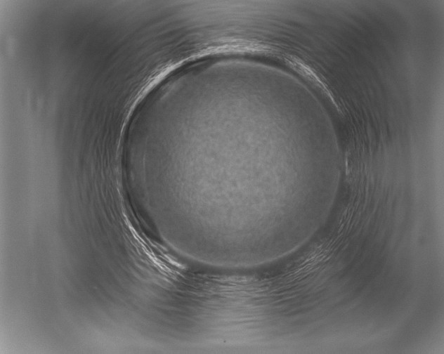 X0000052600436200507081824