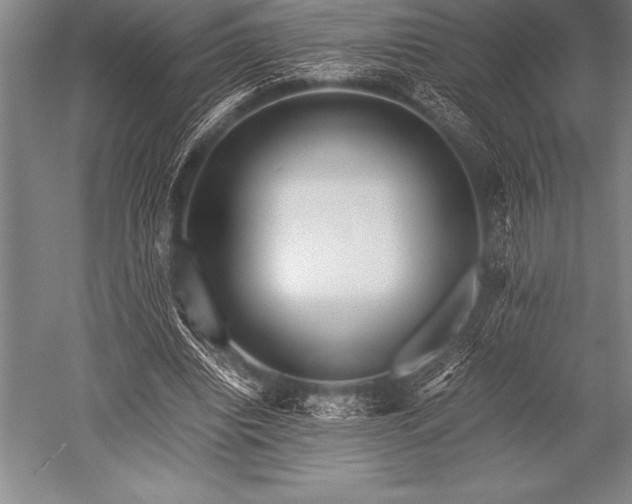 X0000052600440200507081824