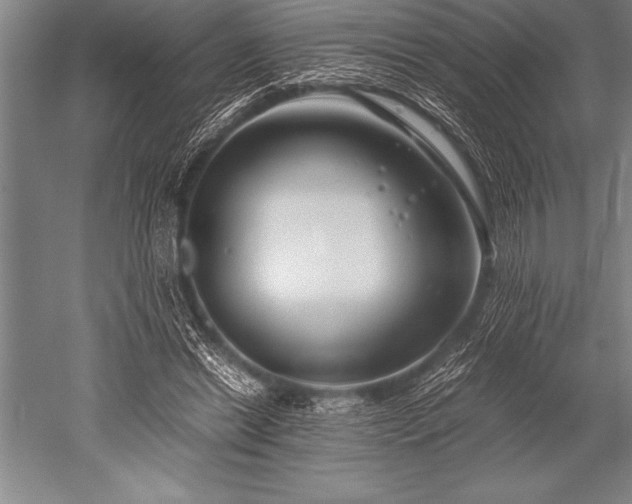 X0000052600446200507081824