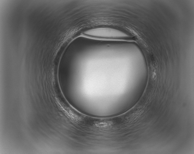 X0000052600447200507081824
