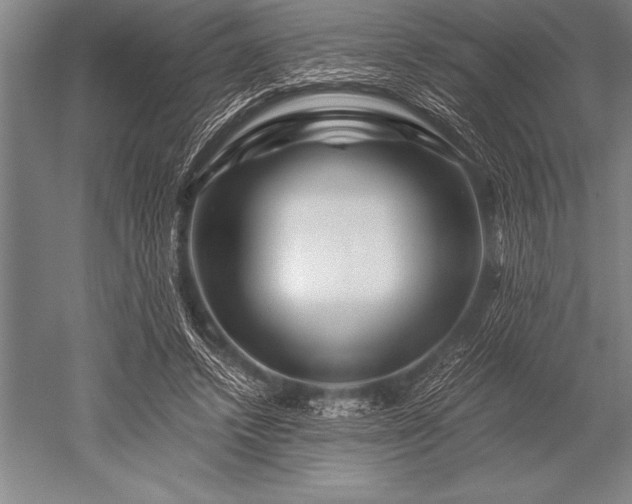 X0000052600448200507081824