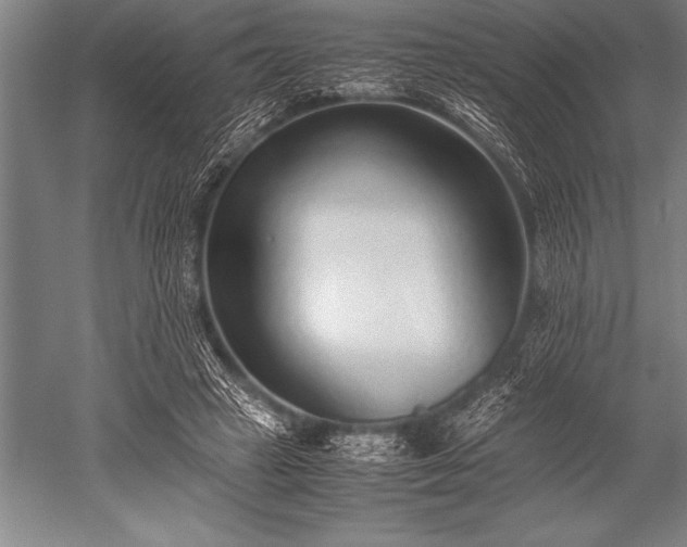 X0000052600449200507081824