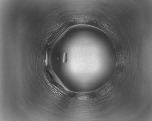 X0000052600456200507081825