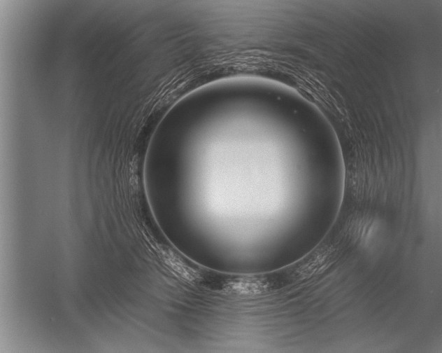 X0000052600466200507081825