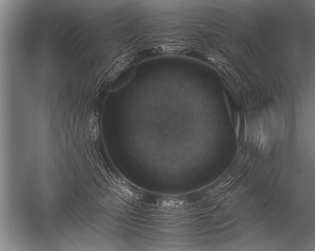 X0000052600471200507081825