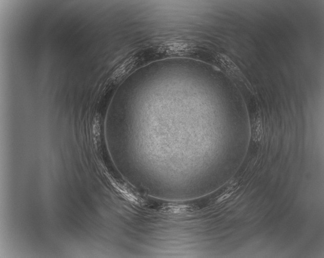 X0000052600472200507081825
